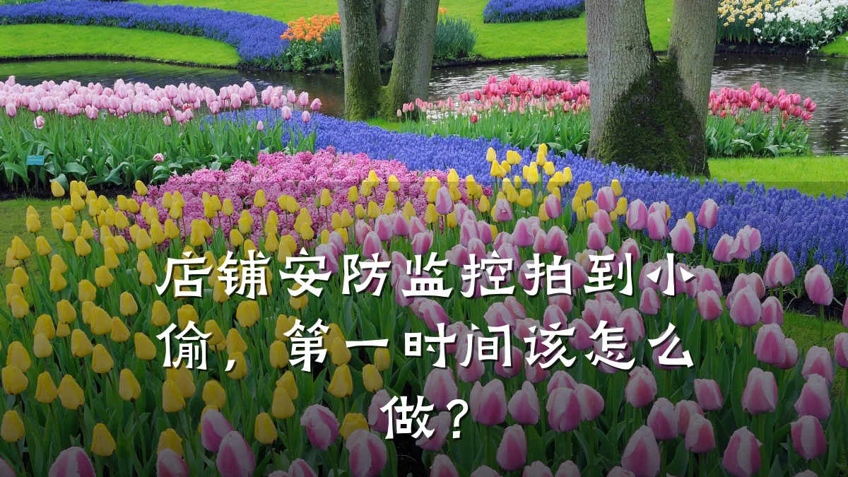 店铺安防监控拍到小偷,第一时间该怎么做?
