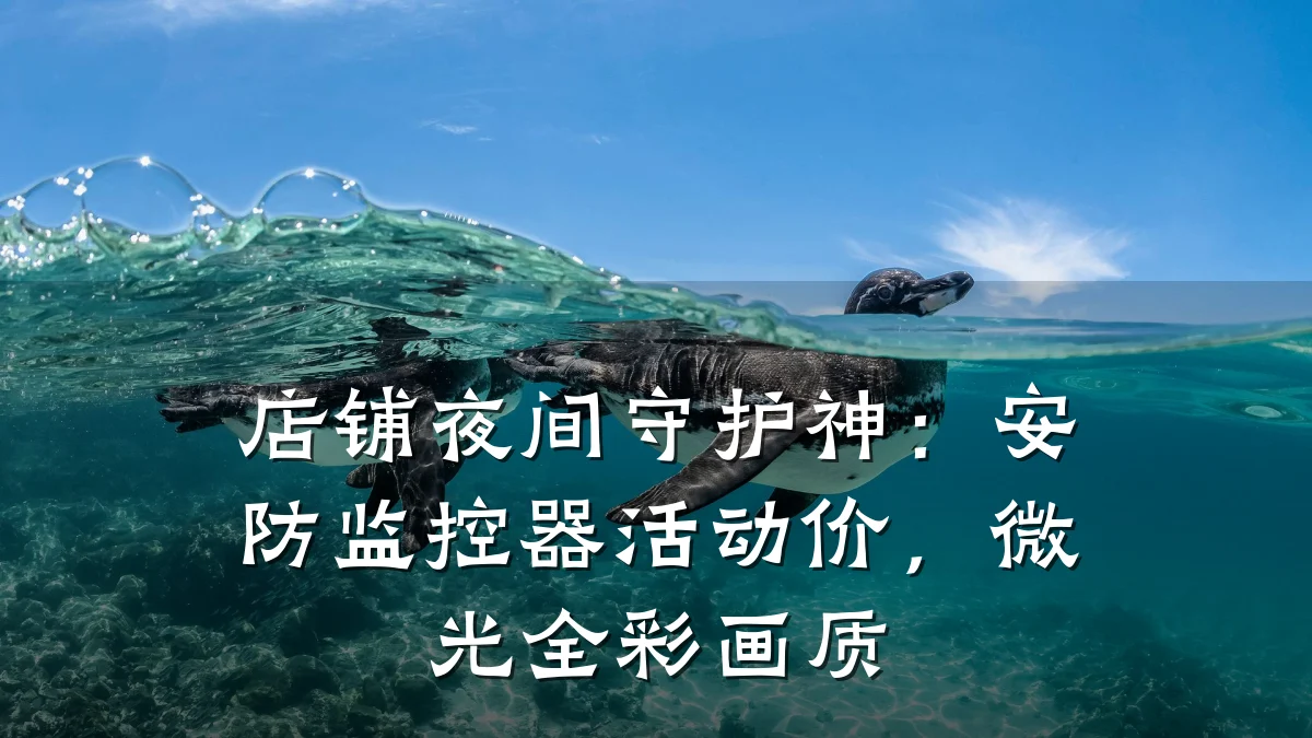 店铺夜间守护神:安防监控器活动价,微光全彩画质