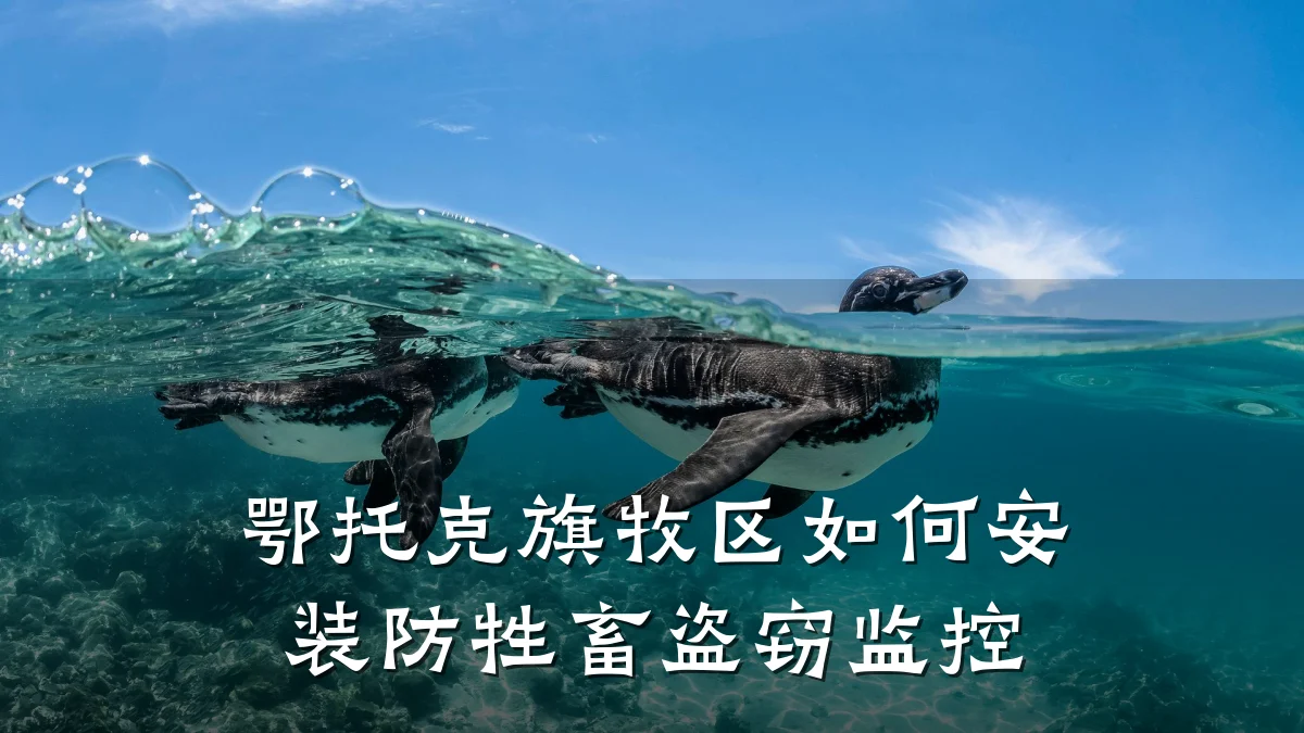 鄂托克旗牧区如何安装防牲畜盗窃监控
