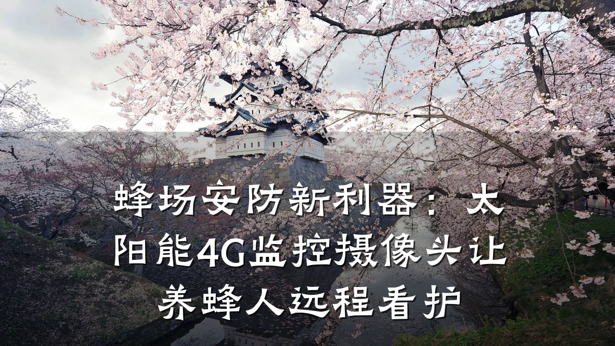 蜂场安防新利器:太阳能4G监控摄像头让养蜂人远程看护