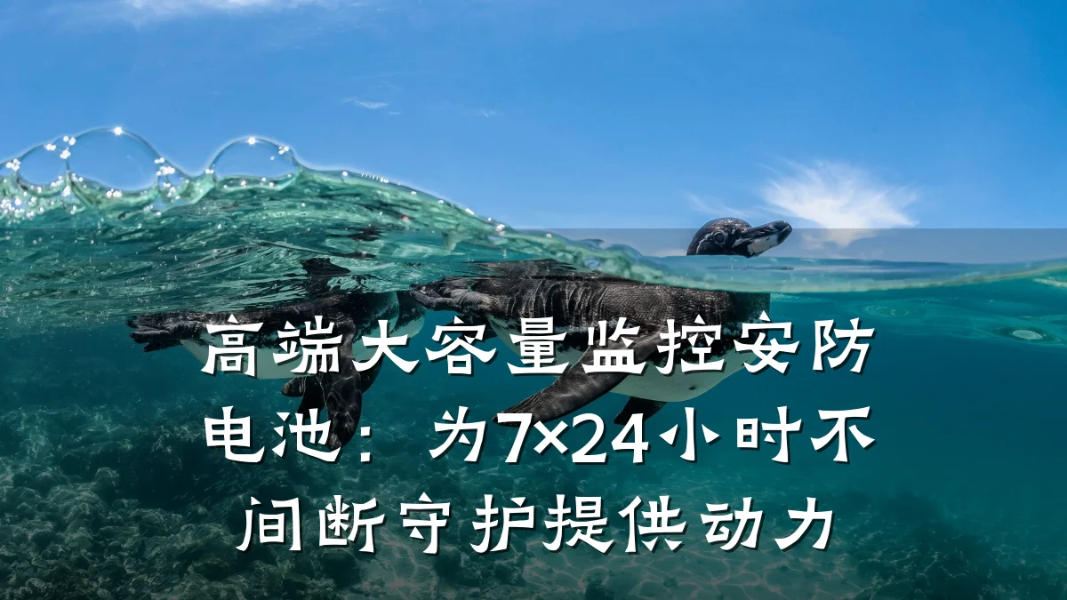 高端大容量监控安防电池:为7×24小时不间断守护提供动力