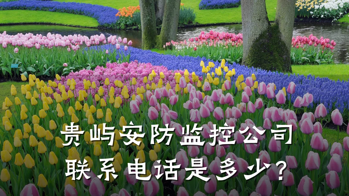 贵屿安防监控公司联系电话是多少?