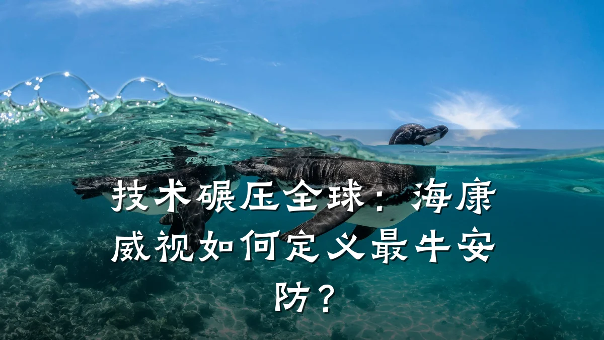 技术碾压全球:海康威视如何定义最牛安防?