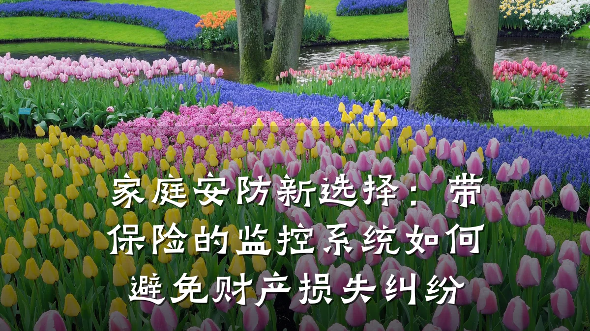 家庭安防新选择:带保险的监控系统如何避免财产损失纠纷