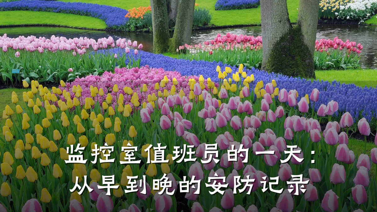 监控室值班员的一天:从早到晚的安防记录