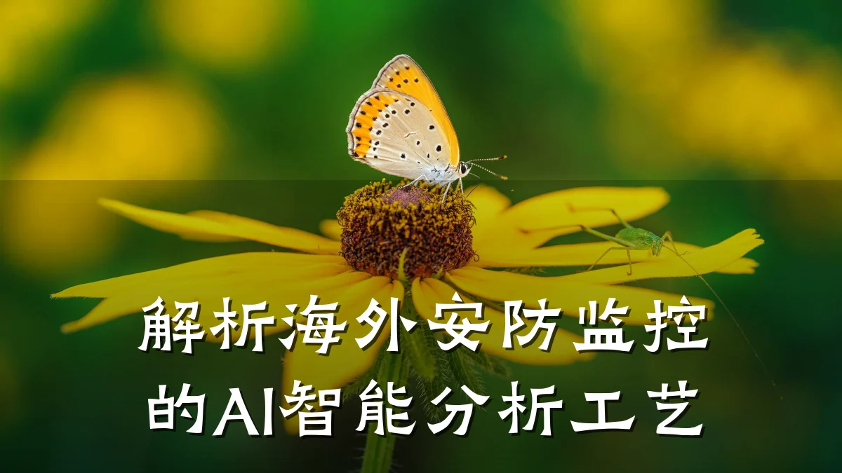 解析海外安防监控的AI智能分析工艺