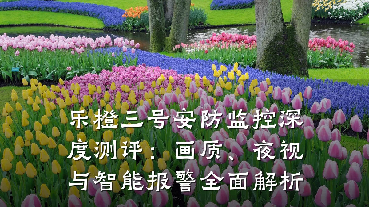 乐橙三号安防监控深度测评:画质、夜视与智能报警全面解析