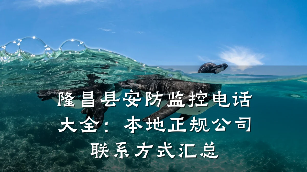 隆昌县安防监控电话大全:本地正规公司联系方式汇总