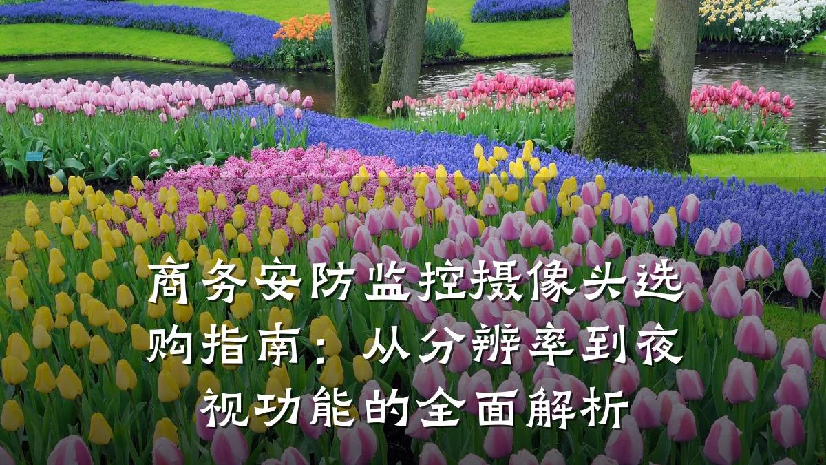 商务安防监控摄像头选购指南:从分辨率到夜视功能的全面解析