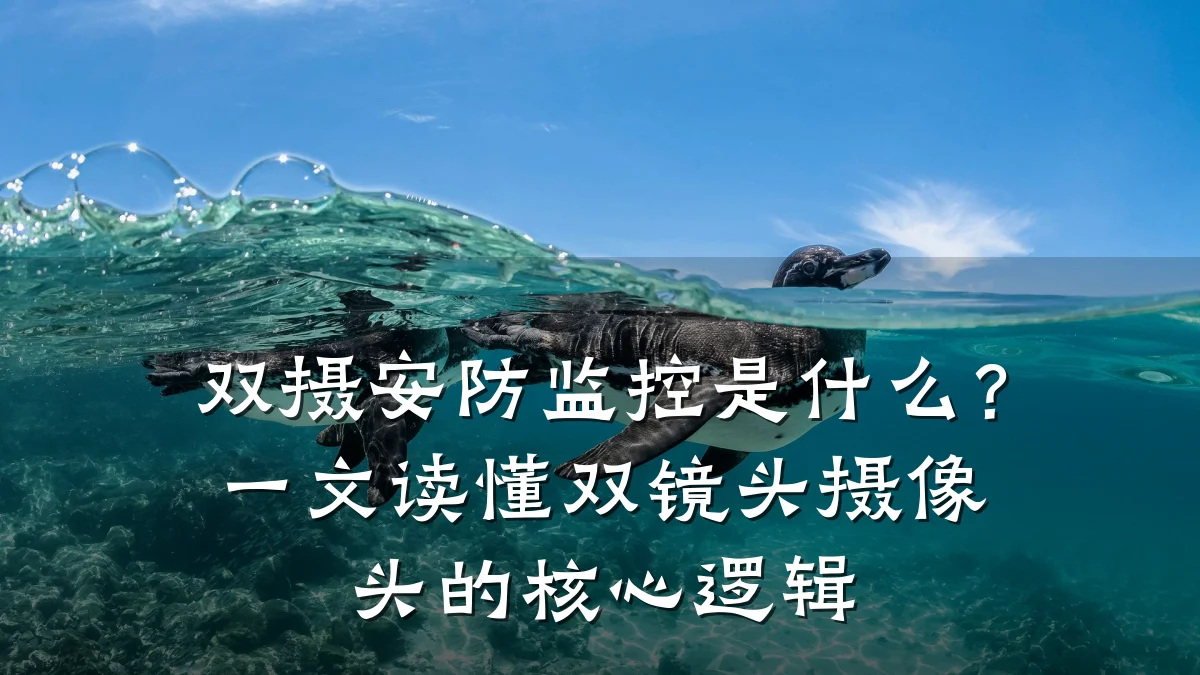 双摄安防监控是什么？一文读懂双镜头摄像头的核心逻辑