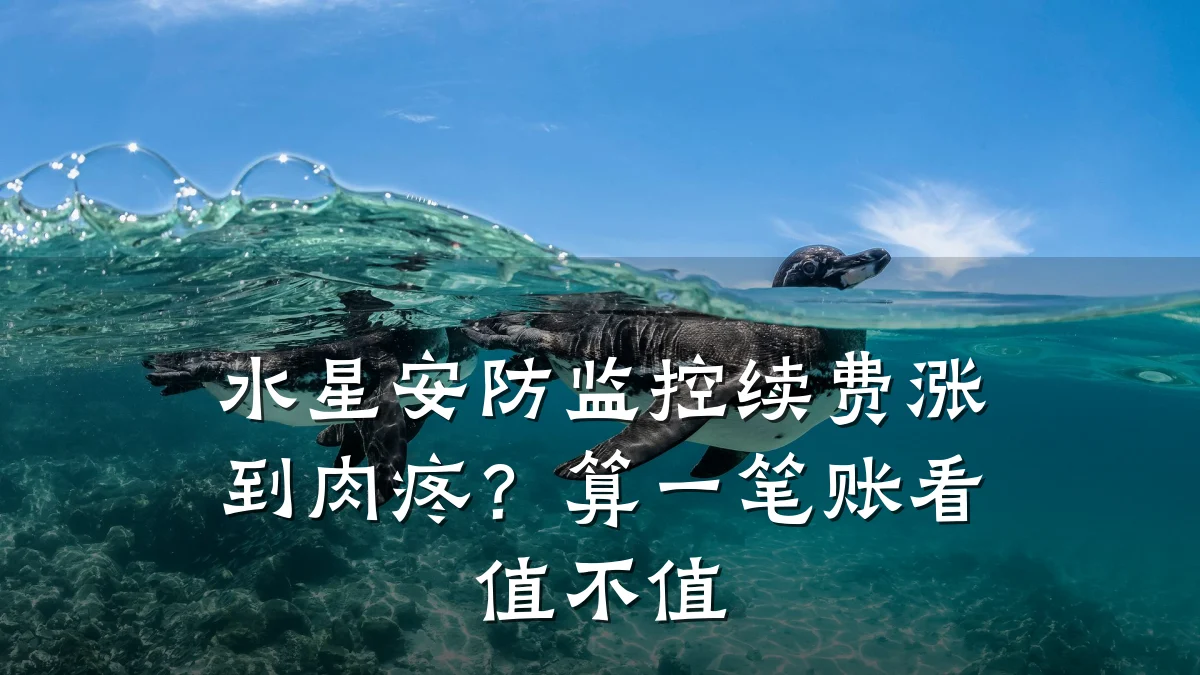 水星安防监控续费涨到肉疼?算一笔账看值不值