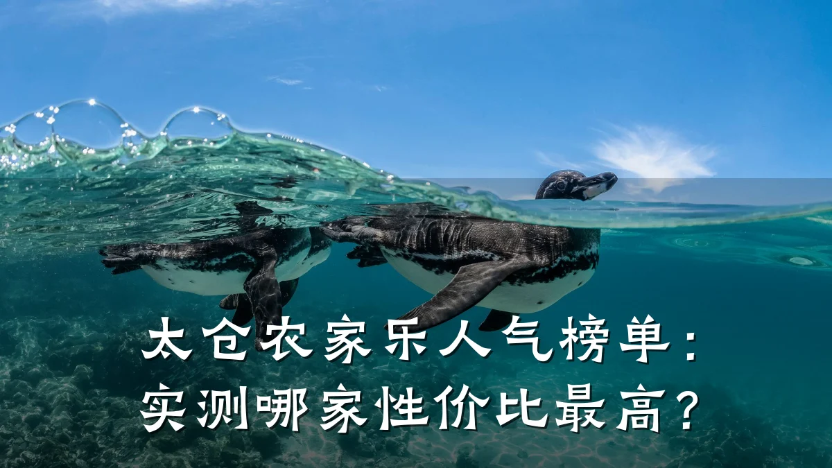太仓农家乐人气榜单：实测哪家性价比最高？