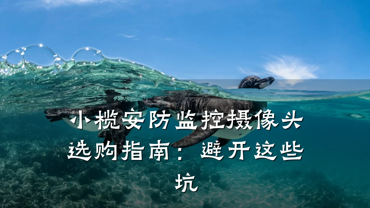 小榄安防监控摄像头选购指南:避开这些坑