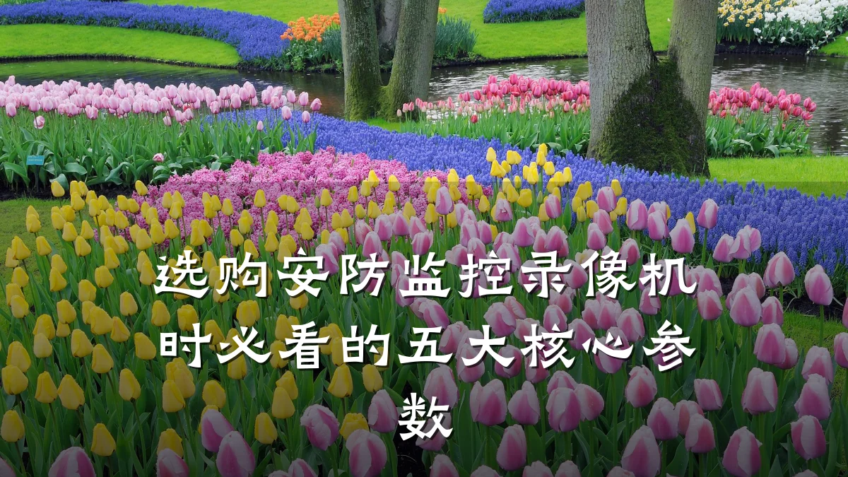 选购安防监控录像机时必看的五大核心参数