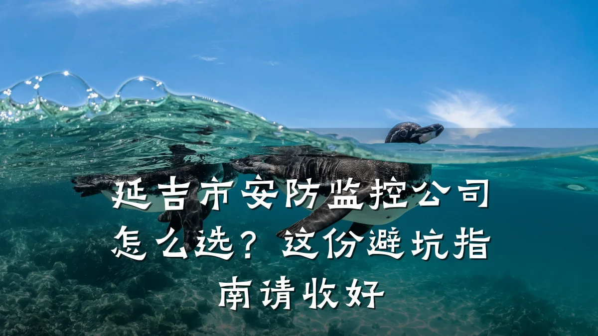 延吉市安防监控公司怎么选?这份避坑指南请收好
