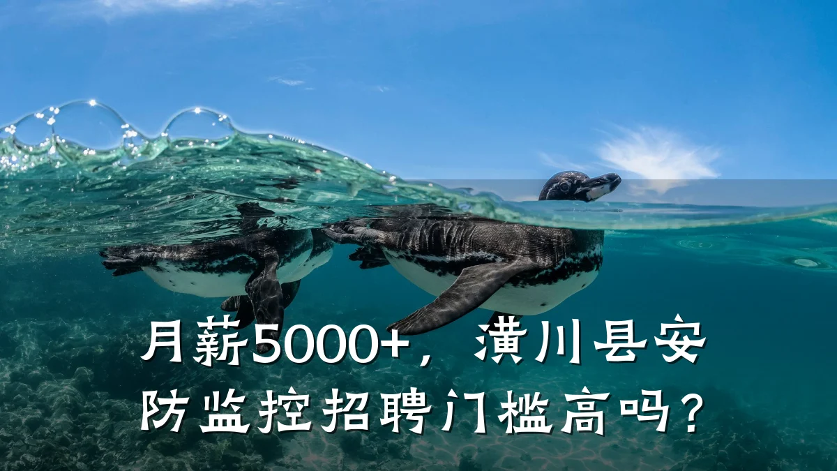 月薪5000+,潢川县安防监控招聘门槛高吗?