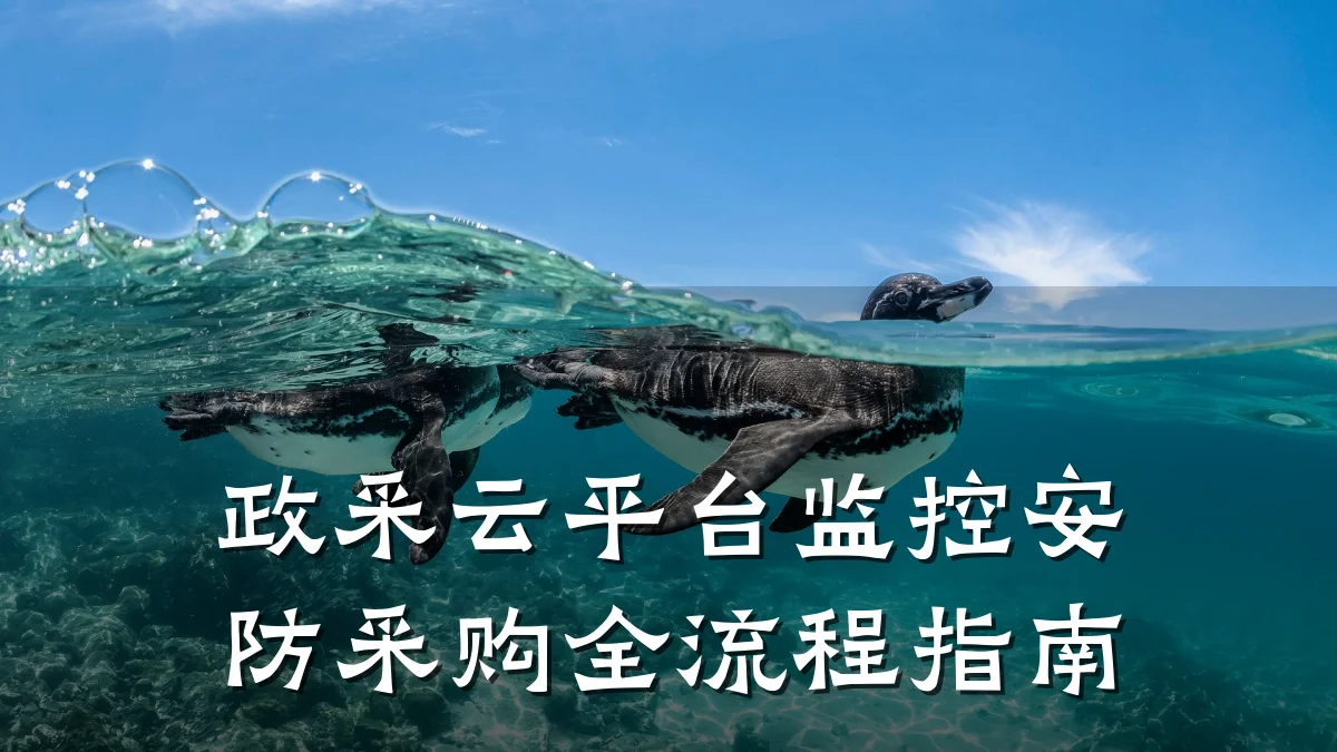 政采云平台监控安防采购全流程指南