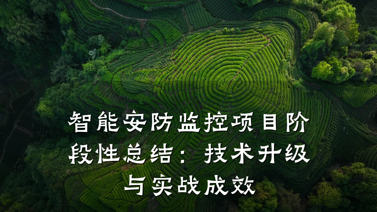 智能安防监控项目阶段性总结:技术升级与实战成效