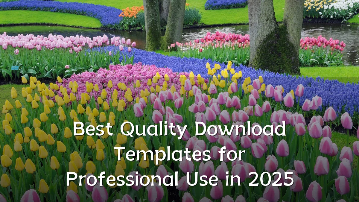 Best Quality Download Templates for Professional Use in 2025