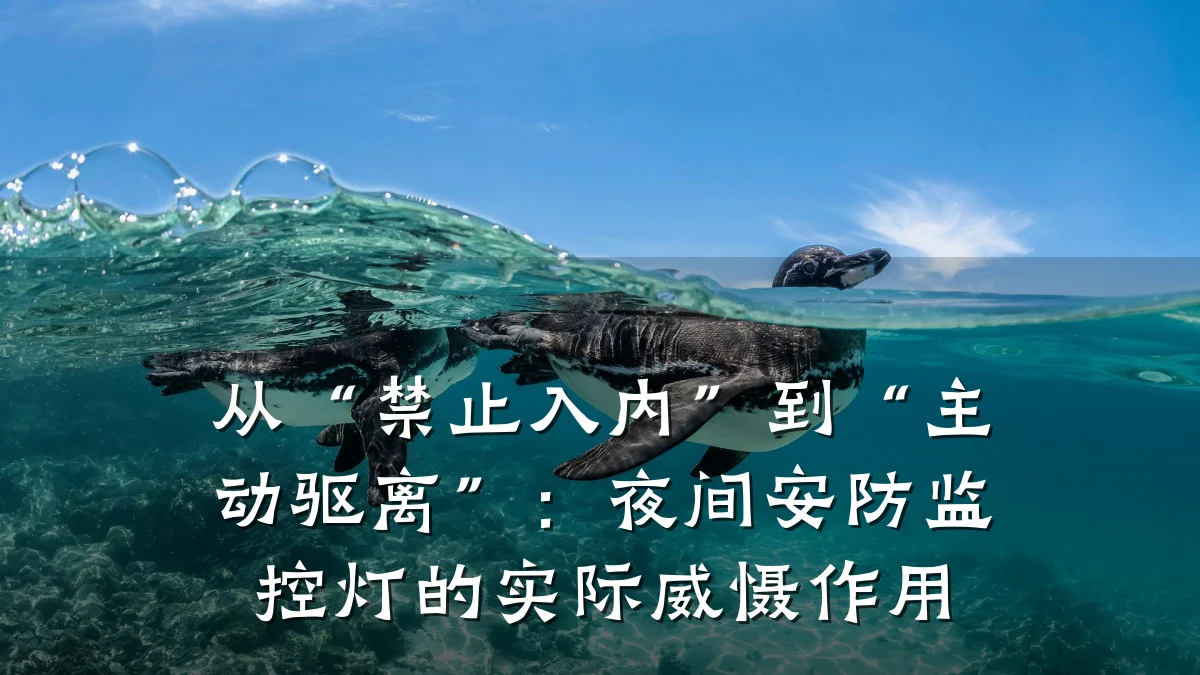 从“禁止入内”到“主动驱离”:夜间安防监控灯的实际威慑作用