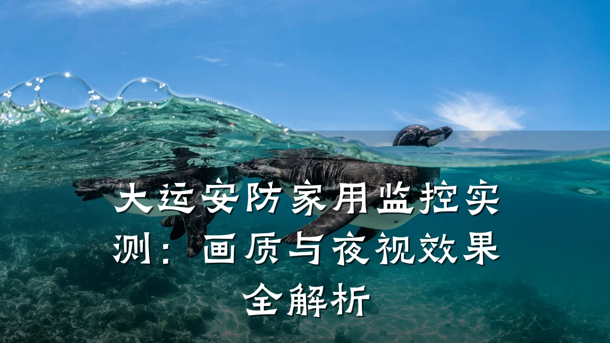 大运安防家用监控实测:画质与夜视效果全解析