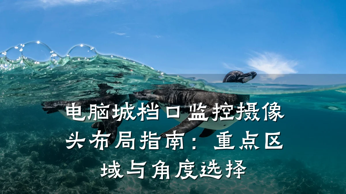 电脑城档口监控摄像头布局指南:重点区域与角度选择