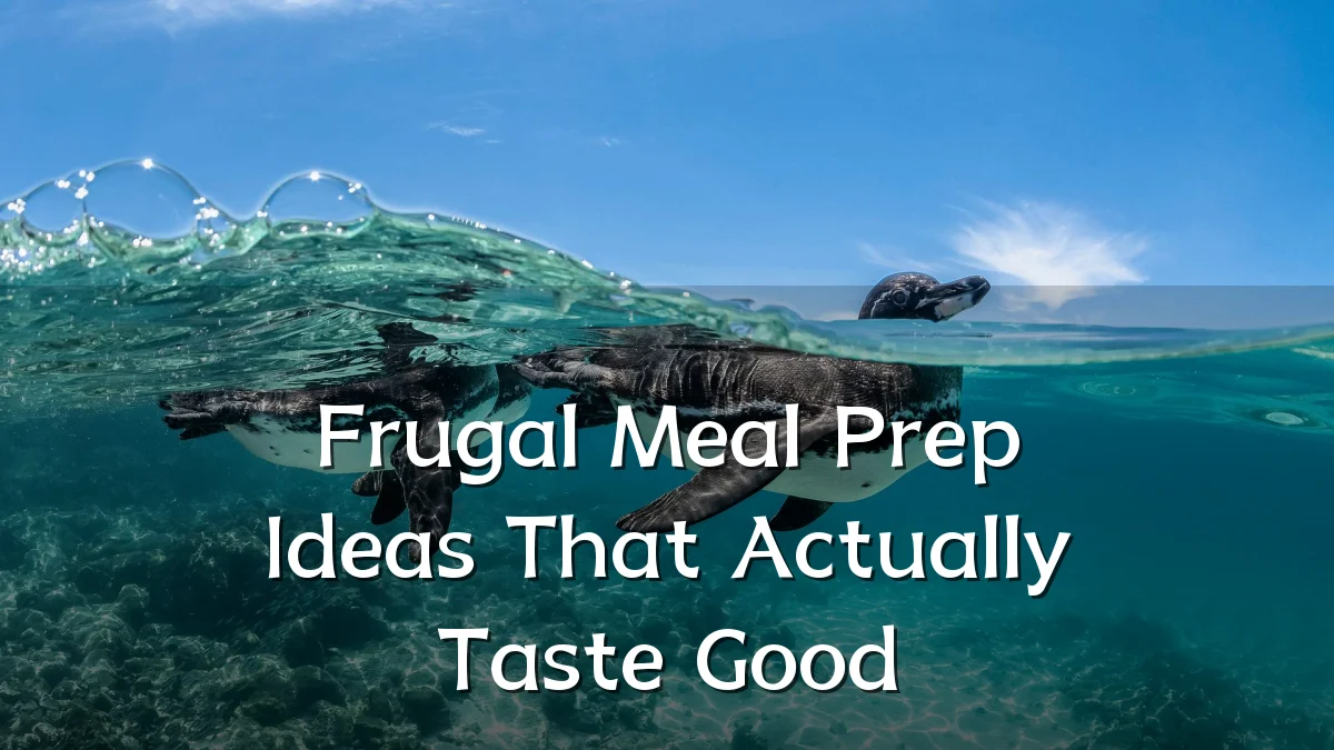 Frugal Meal Prep Ideas That Actually Taste Good