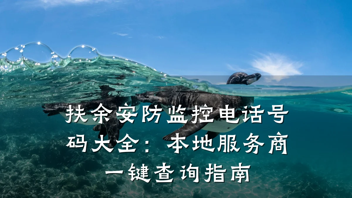 扶余安防监控电话号码大全:本地服务商一键查询指南