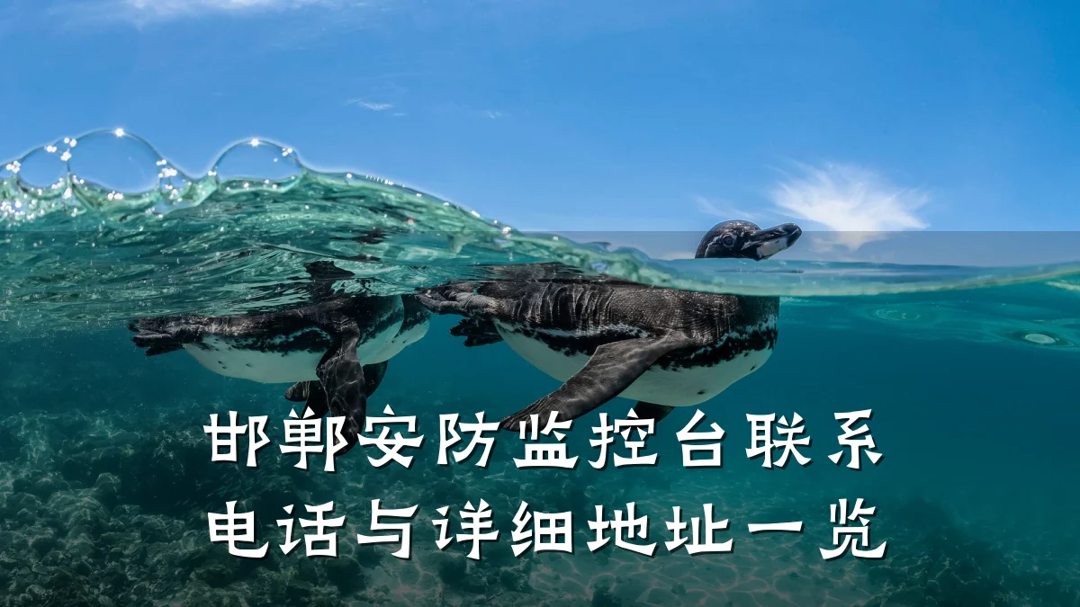 邯郸安防监控台联系电话与详细地址一览