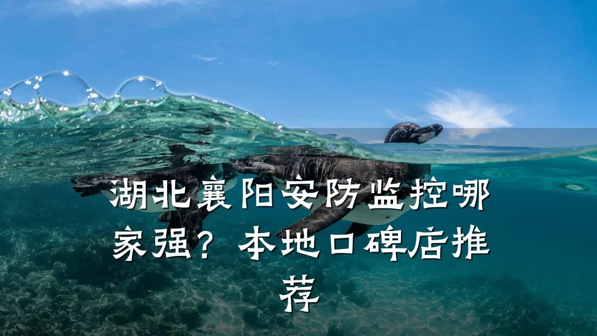 湖北襄阳安防监控哪家强?本地口碑店推荐
