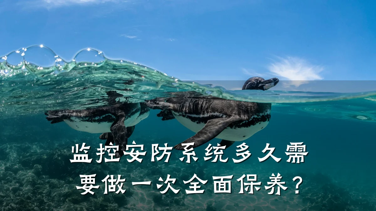 监控安防系统多久需要做一次全面保养?