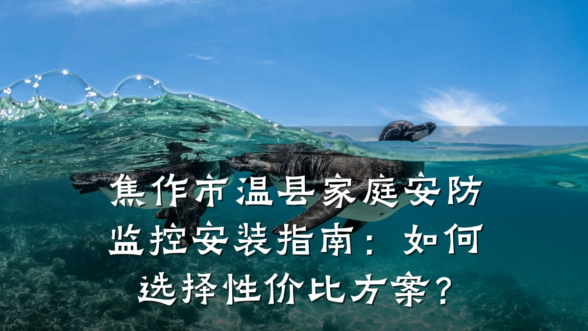 焦作市温县家庭安防监控安装指南：如何选择性价比方案？