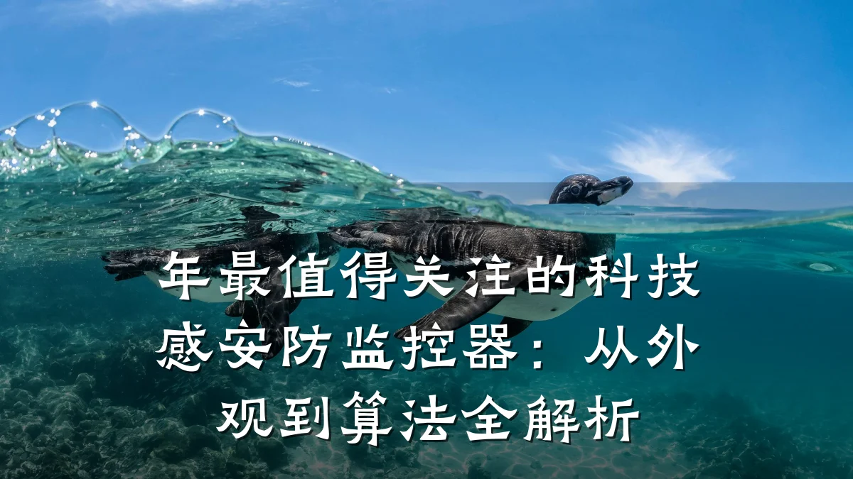 年最值得关注的科技感安防监控器:从外观到算法全解析