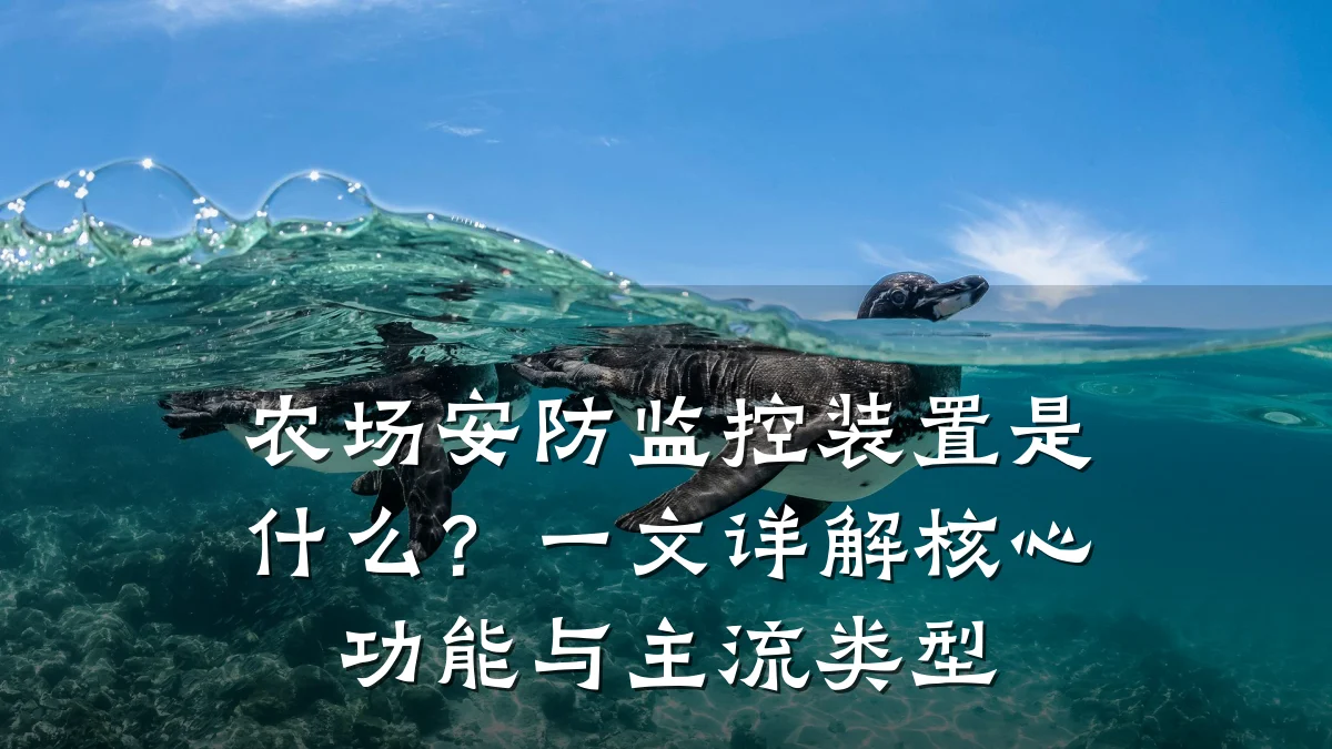 农场安防监控装置是什么?一文详解核心功能与主流类型