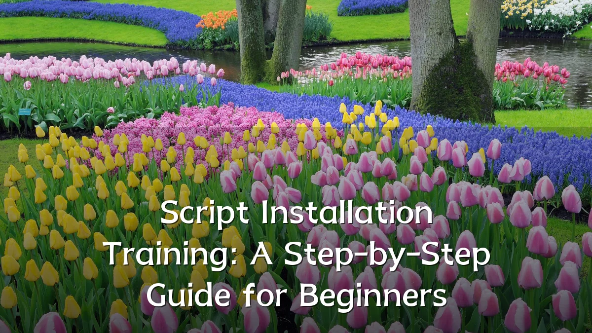 Script Installation Training: A Step-by-Step Guide for Beginners