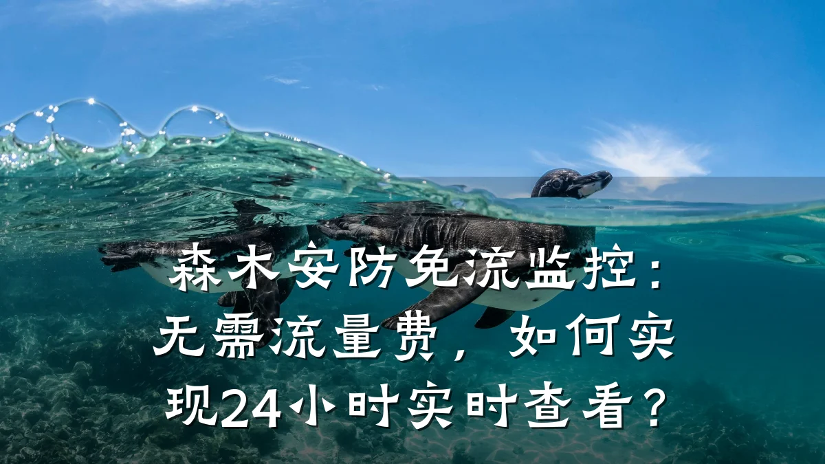 森木安防免流监控:无需流量费,如何实现24小时实时查看?