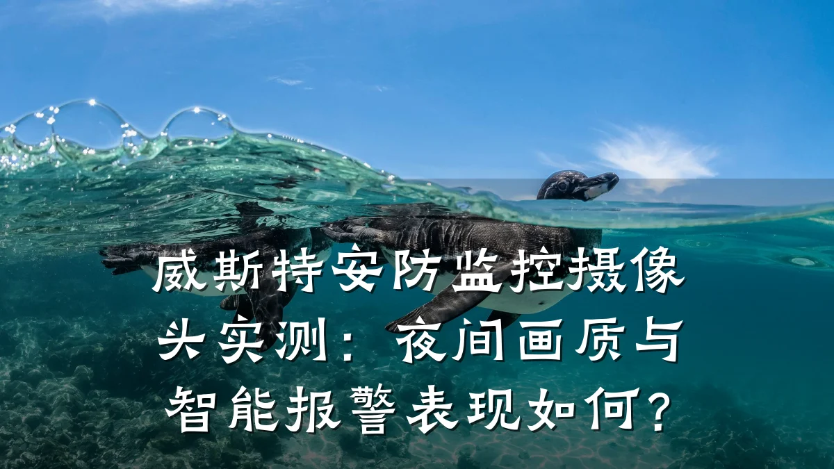 威斯特安防监控摄像头实测:夜间画质与智能报警表现如何?