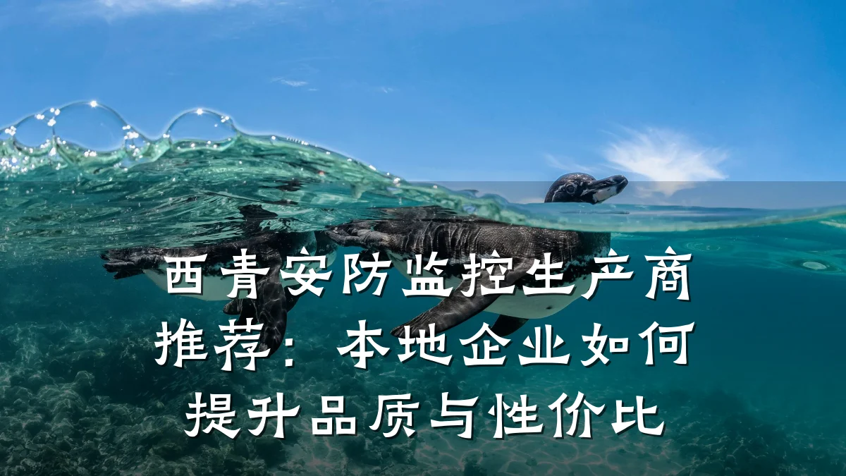 西青安防监控生产商推荐:本地企业如何提升品质与性价比