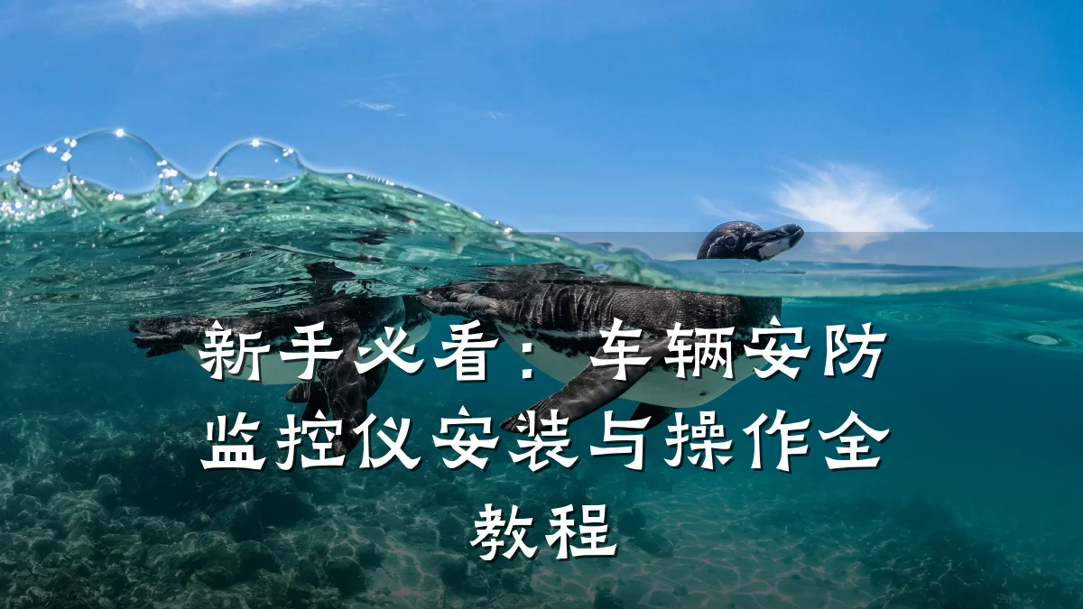 新手必看：车辆安防监控仪安装与操作全教程