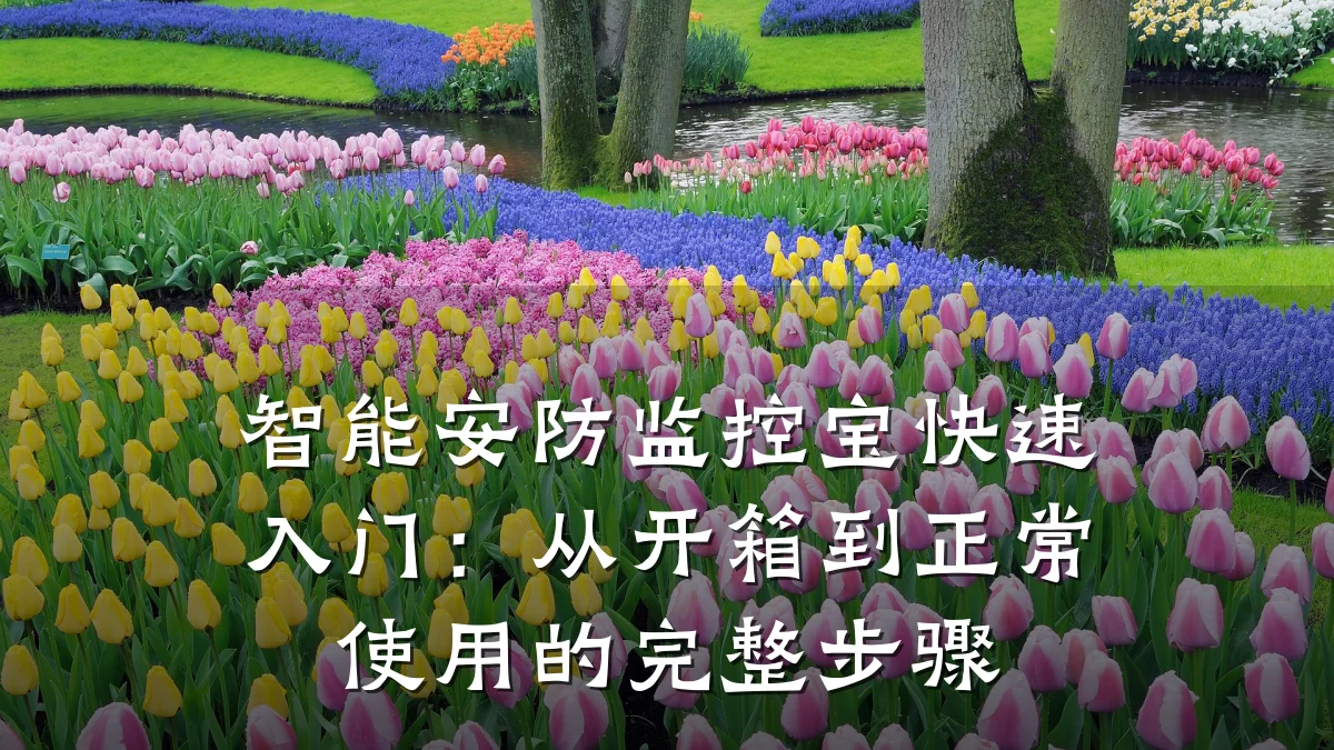 智能安防监控宝快速入门:从开箱到正常使用的完整步骤