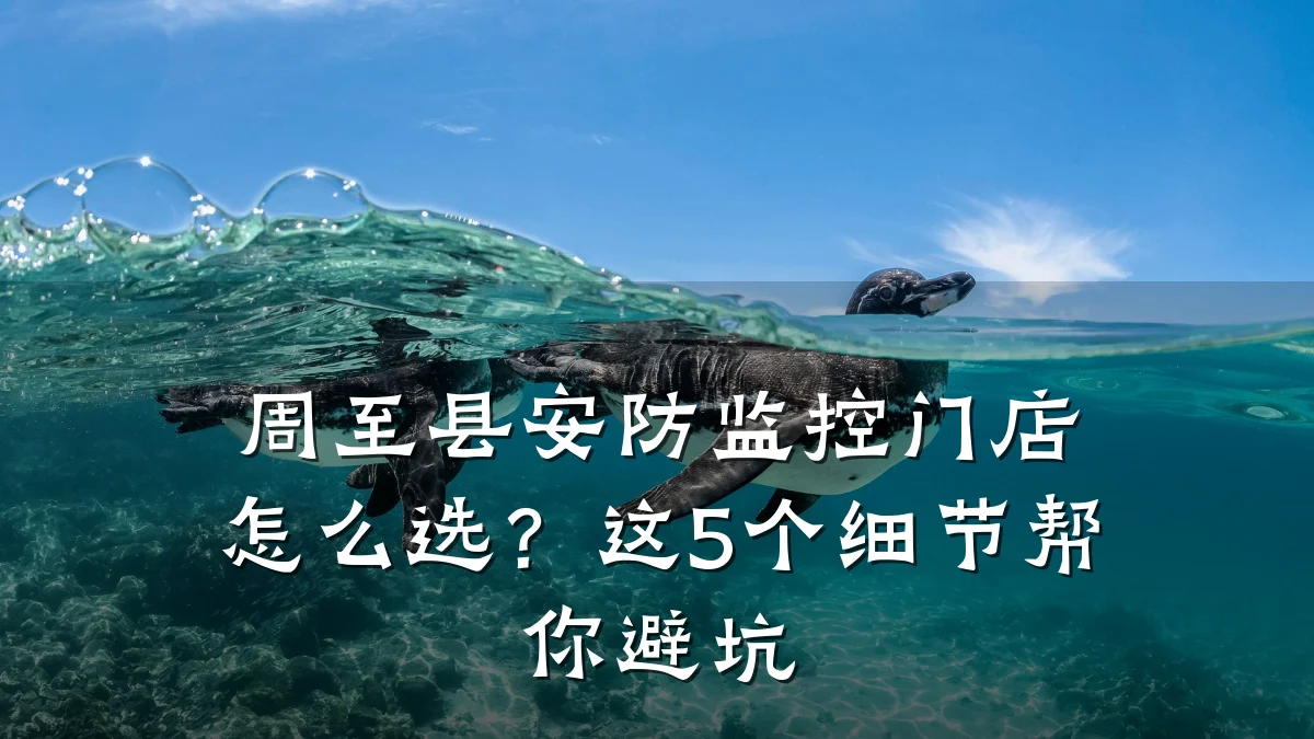 周至县安防监控门店怎么选?这5个细节帮你避坑