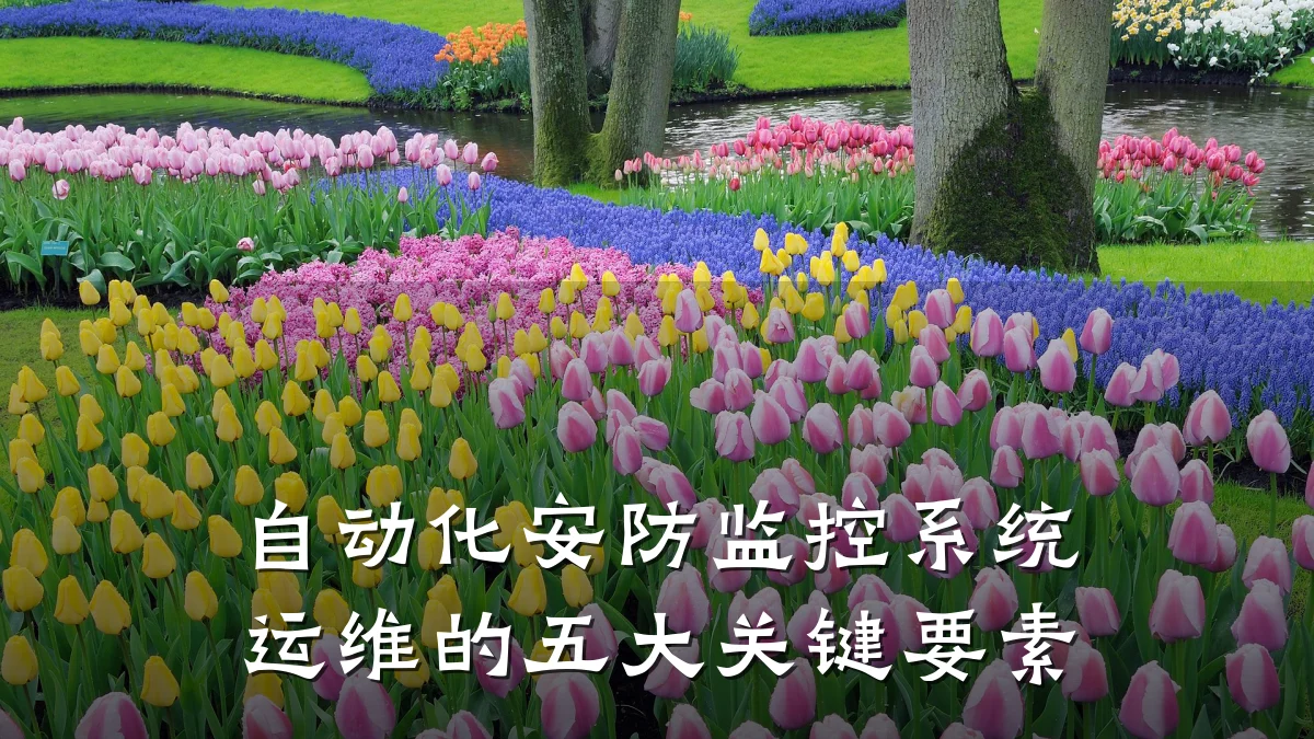 自动化安防监控系统运维的五大关键要素