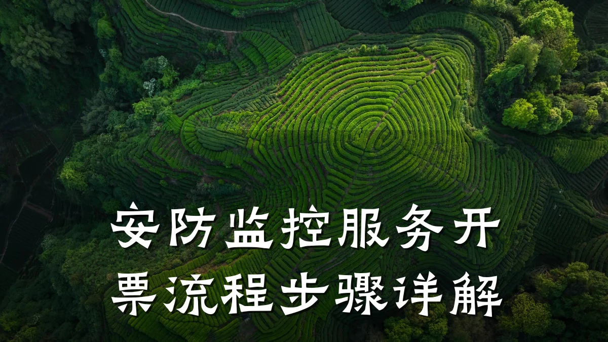 安防监控服务开票流程步骤详解