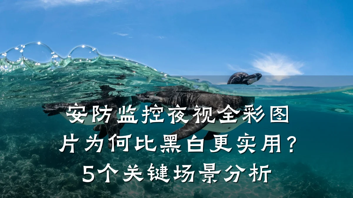 安防监控夜视全彩图片为何比黑白更实用?5个关键场景分析