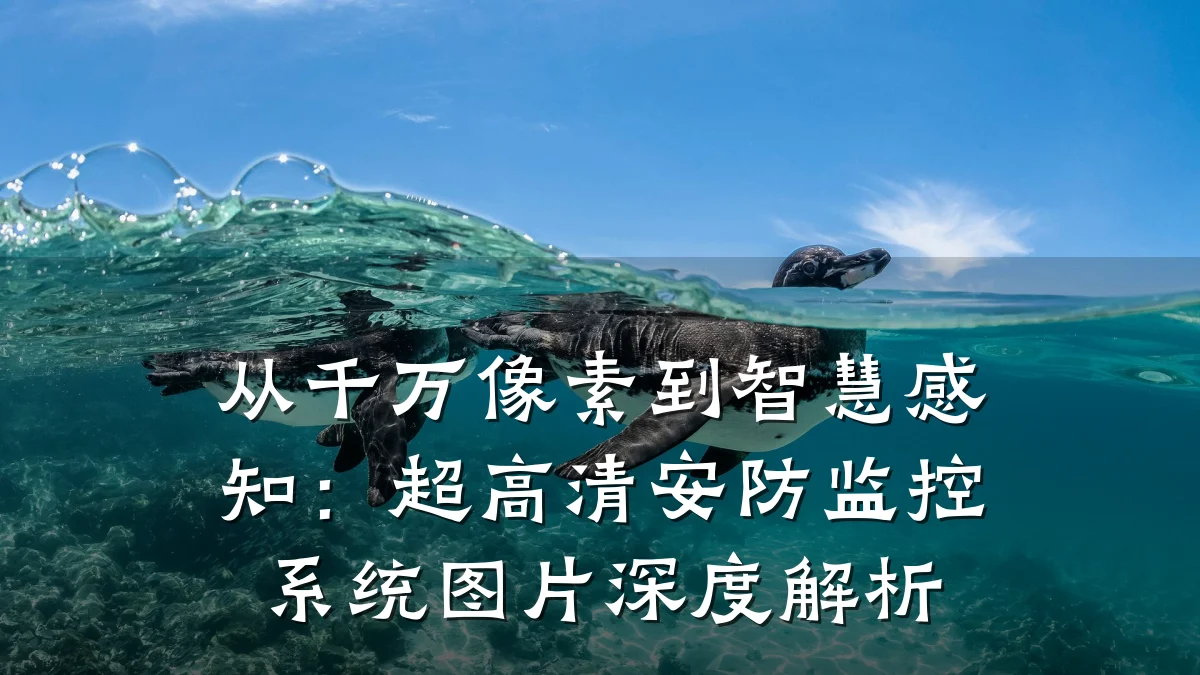 从千万像素到智慧感知:超高清安防监控系统图片深度解析