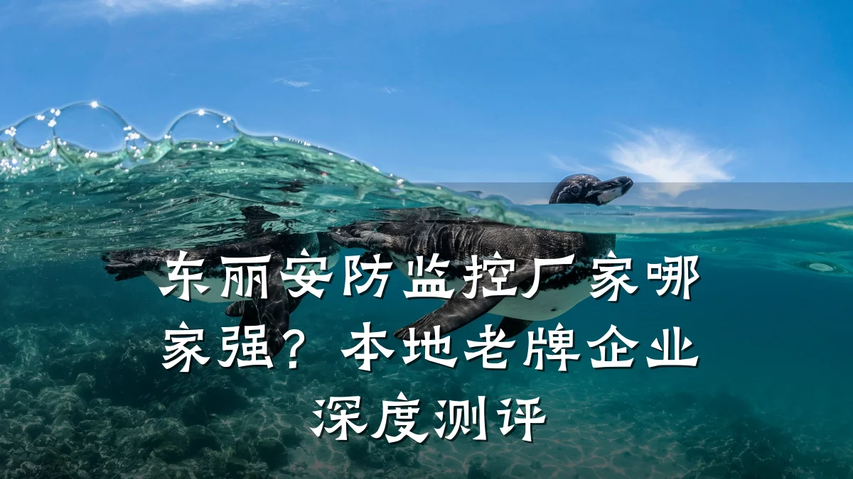 东丽安防监控厂家哪家强?本地老牌企业深度测评