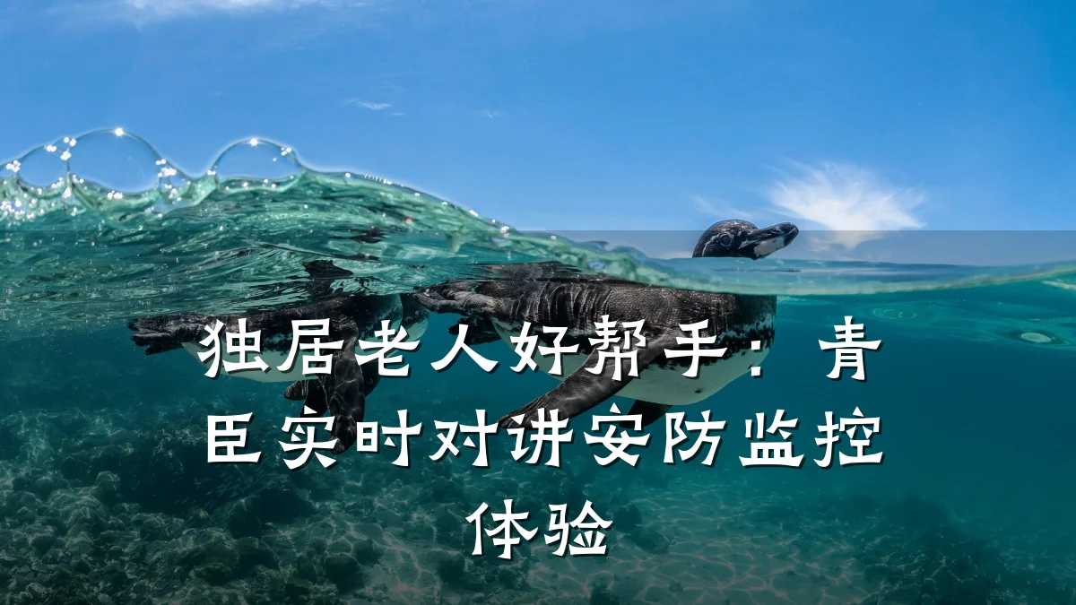 独居老人好帮手:青臣实时对讲安防监控体验