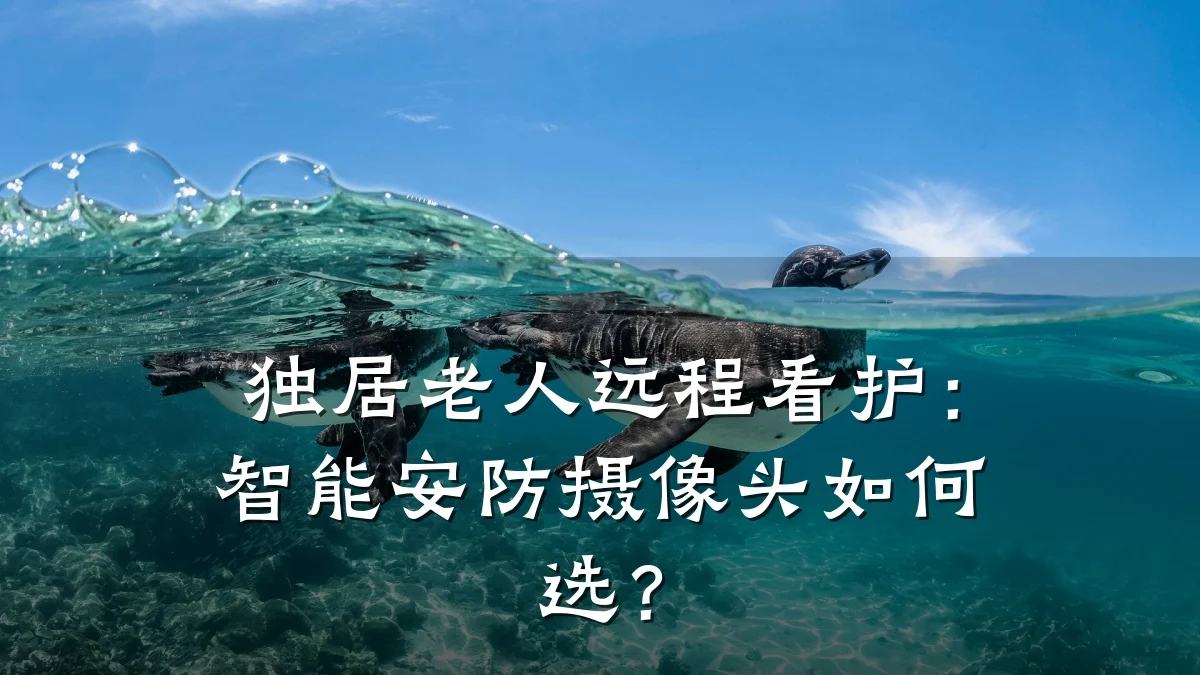 独居老人远程看护:智能安防摄像头如何选?