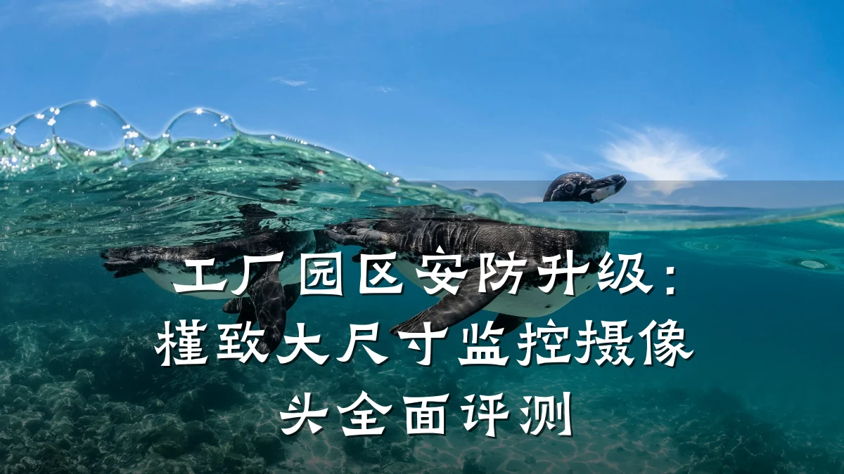 工厂园区安防升级:槿致大尺寸监控摄像头全面评测