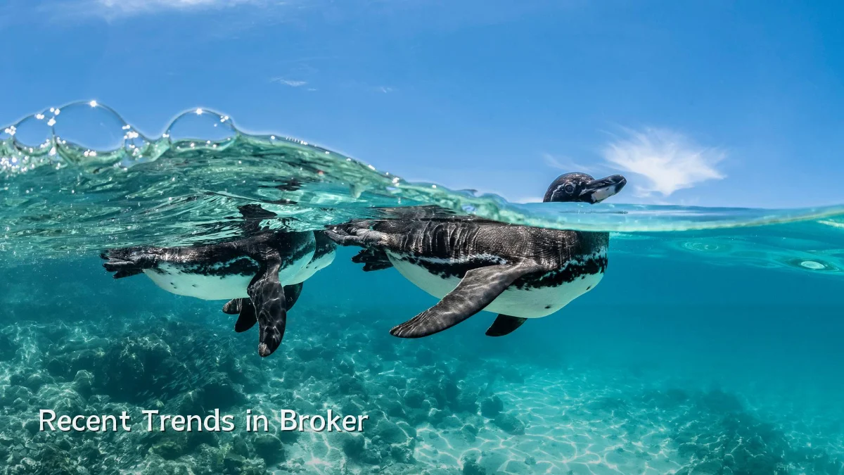 Recent Trends in Broker